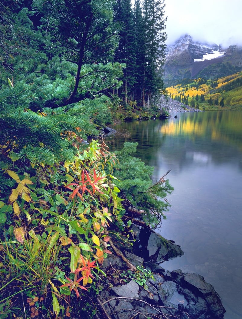 Aspen Mountain Wedding